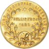 Ticino, Bellinzona, Kantonales Schützenfest, 1895, unz-