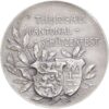Thurgau, Arbon,  Kantonales Schützenfest, 1906, stgl, Silber