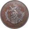 6880_1 Aargau, Bremgarten, Kantonales Schützenfest, 1891, stgl, Bronze