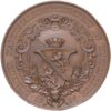 6894_1 Zürich, Winterthur, Kantonales Schützenfest, 1891, unz-, Bronze