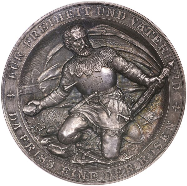 Basel, Binningen, Kantonales Schützenfest, 1893, unz/stgl