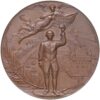 Waadt, Lausanne,  Kantonales Schützenfest, 1894, stgl, Bronze