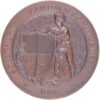 Solothurn, Solothurn,  Kantonales Schützenfest, 1895, stgl, Bronze