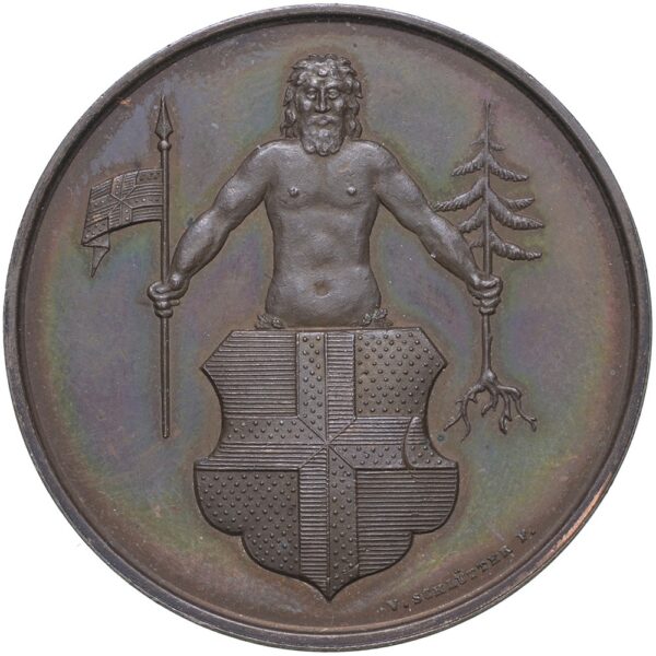 Graubünden, Davos,  Schützenverein, 1890, stgl, Bronze